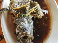 -蓝湾碧波·老字号·疍家非遗海上餐厅