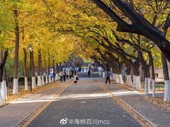 -山东师范大学(千佛山校区)