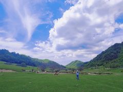 -关山草原