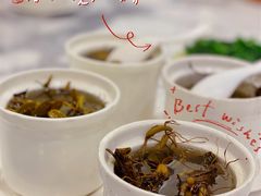 -春梅里卤鹅馆·47年老字号(中山路店)