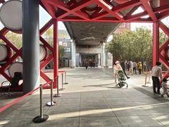 -常青藤国际象棋(新奥店)