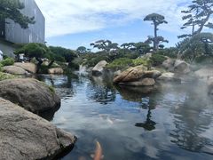 -罗红摄影艺术馆