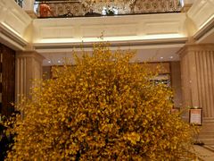 android_upload_pic-天宇菲尔德·花园西餐厅·海鲜自助餐