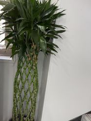 -悟空祛痘·诺奖技术专业店