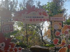 -广州市石门国家森林公园