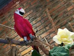 -湘邻呷铺·田园家宴(汉基广场店)