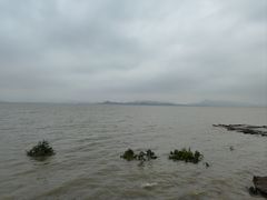 -深圳湾公园(南山区)