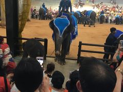-东芭乐园