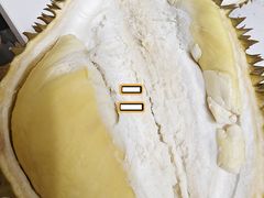 -T11生鲜超市(朝阳公园店)