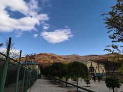 -横道河子东北虎林园