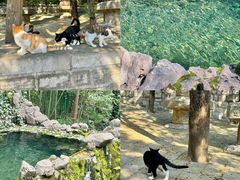 -四门塔风景区