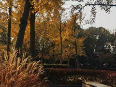 -黄兴公园
