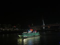 -重庆两江夜游-金碧系列