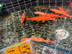 -好兄弟郭巨海鲜(天一阁店)