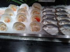 -岷山饭店-芝芝自助餐厅