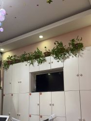 -香薇妮丝·定制减肥·身材管理