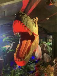 -恐龙探索乐园(磁器口店)