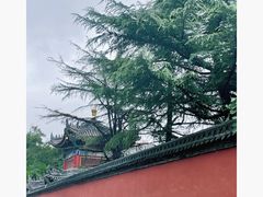 -西安市广仁寺