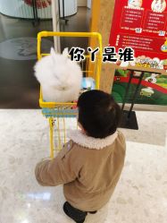-七巧国萌宠乐园(龙湖天街店)