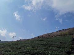 -东白山