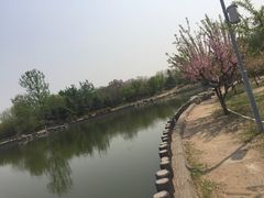 -大兴滨河森林公园