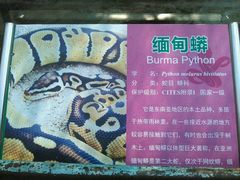 -广东茂名森林公园