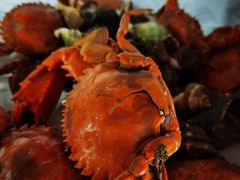 -华龙特色大骨鸡农家菜馆