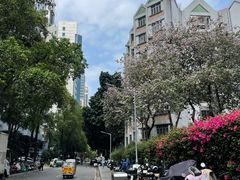 -天河体育中心