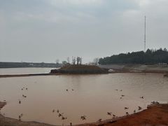 -鄱阳湖国家湿地公园