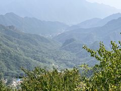 -大岭沟猕猴桃谷风景区
