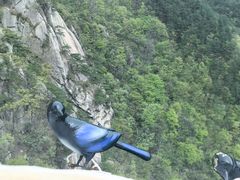 -罗田天堂寨风景区