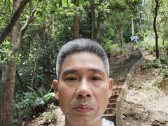 -火炉山森林公园