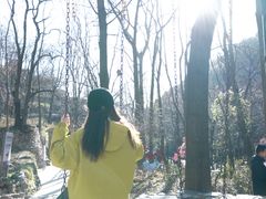 -云丘山景区