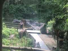 -山沟沟景区
