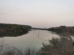 -大屏嶂森林公园