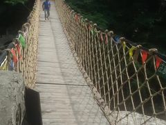 -青峰峡国家森林公园