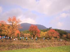 -塔川景区