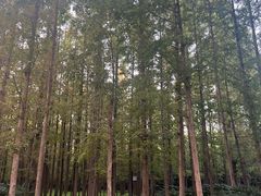 -河南省黄河迎宾馆