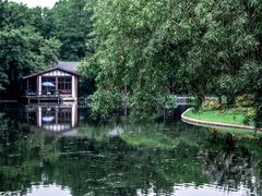 -上海共青森林公园