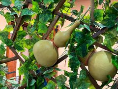 -风波庄(云蝠大厦店)