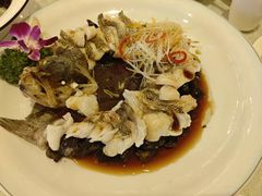 -博雅渔港·融合菜(维也纳国际大酒店)