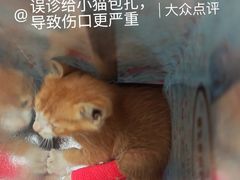 -佳佳动物医院