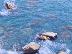 -广东惠东海龟国家级自然保护区