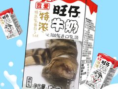 -爱侣·安琦尔宠物医院·中兽医针灸·心内科·狂犬免疫点(宝山区院)