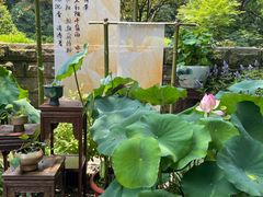 -杭州植物园