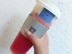 -雾与山茶(大禹城店)