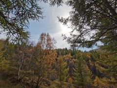 -苏木山森林公园