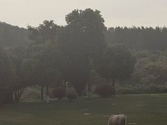 -天目湖涵田度假村