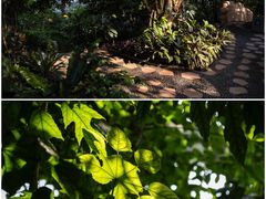 -南山植物园