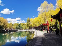 -宗角禄康公园